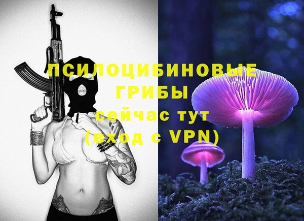 марки lsd Каменногорск