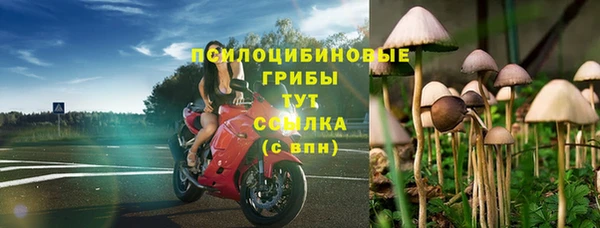 МДПВ Каменка